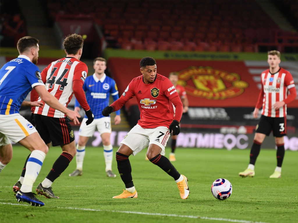 面对职业和 面对职业和